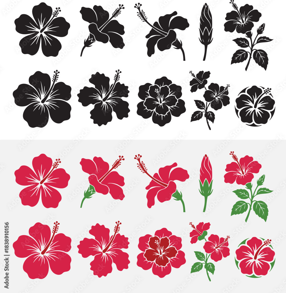 Fototapeta premium hibiscus flower set color & black-white silhouette vector illustration