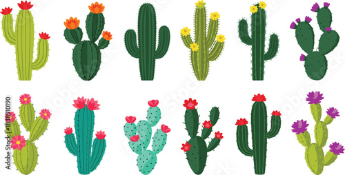 Colorful blooming cactus plant collection featuring various succulent species with vibrant flowers in a decorative botanical vector illustration set.