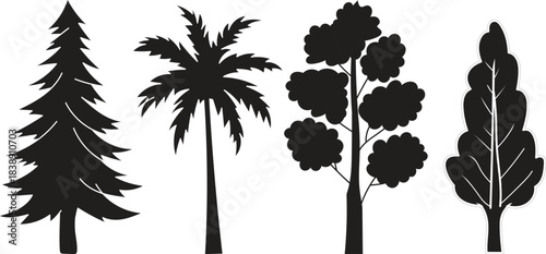 Trees Nature Forest Pine Palm Foliage Landscape Plants Silhouette Outdoor