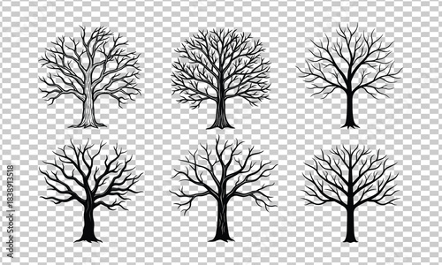 A vector set of tree silhouettes illustrating various bare winter and black forest branches for nature design