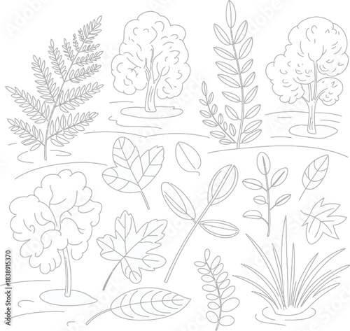 Sketchy botanical illustrations of various plants and trees