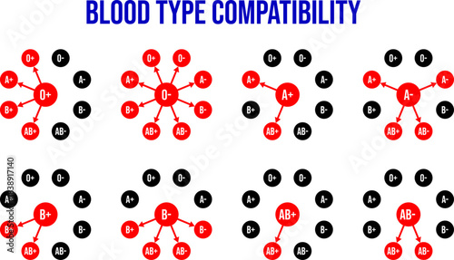 Blood type compatibility diagram, a simple diagram for blood transfusion guidelines