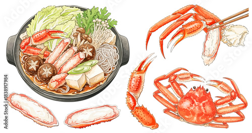 蟹（カニ）とカニ鍋（海鮮鍋）のイラストセット,冬の味覚,和食,海鮮,贅沢,水彩風,リアルイラスト