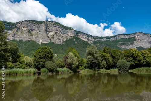 Marais de Montfort (Crolles, Isère, France)