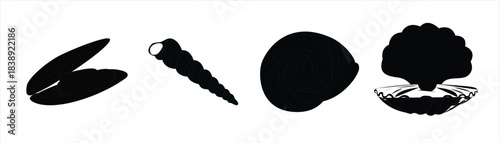 Spiral seashell, scallop shell, conch shell, and a starfish black and white marine icons set. clean, art style for surf shop, tattoo templates, web icons, prints, vector illustration.