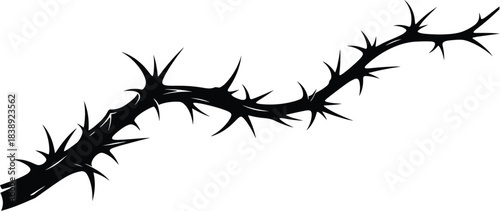 Silhouette of a thorny branch extending outward