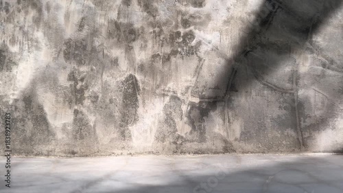 Textured raw concrete wall with softly moving tree shadows creates an atmospheric and natural industrial backdrop.
