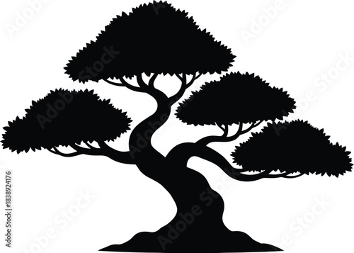 Silhouette of a bonsai tree growing with twisted branches