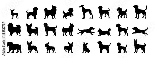 Different poses of dogs silhouette.