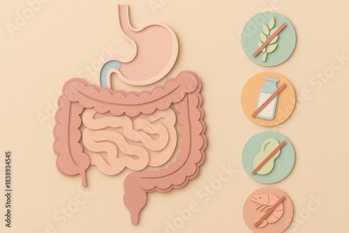 Pastel digestive tract illustration showing paper cut digestive system. Food intolerance education visual with allergy symbols for gut health awareness and information