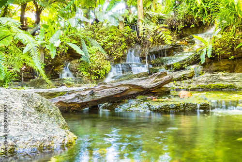 Lush tropical garden waterfall with green pond and rocks