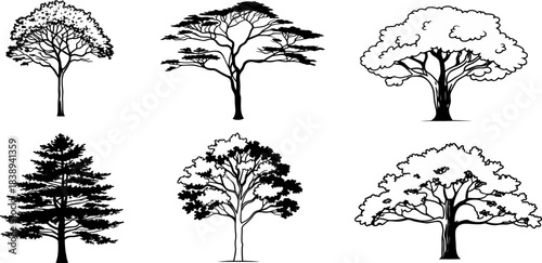 set of trees silhouettes, set of trees silhouettes, various deciduous trees silhouettes on the white background, Silhouette of Evergreen Trees Set on White Background, Pine fir tree tall tree