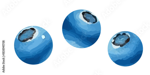 Cute watercolor blueberries, berries, soft pastel colors, hand drawn texture, sweet, tasty, sour, perfect for children's prints, stickers, patterns and greeting cards, isolated on white background.