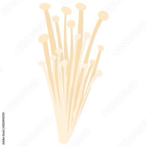 Enoki Mushroom