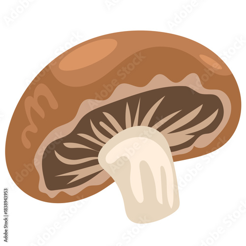 Shiitake Mushroom
