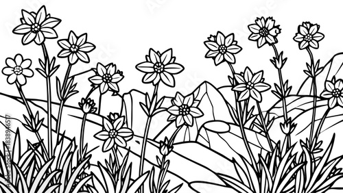 Very beautiful spring wildflowers covering rocky terrain, forming colorful patterns across open meadows, gentle slopes, and textured stones, capturing a serene natural landscape under warm daylight wi