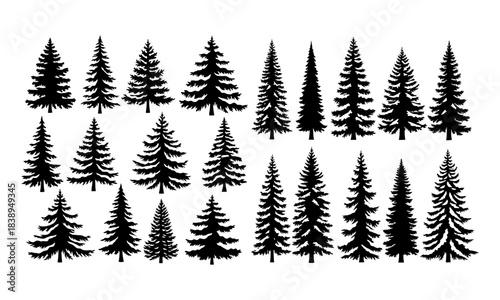 Diverse set of conifer tree silhouettes for natural forest and winter designs