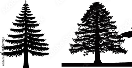Diverse evergreen tree silhouettes, including pine and fir, isolated vector set