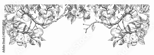 Vector illustration of a dog