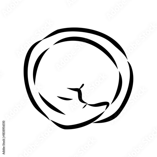 dumpling, vector sketch