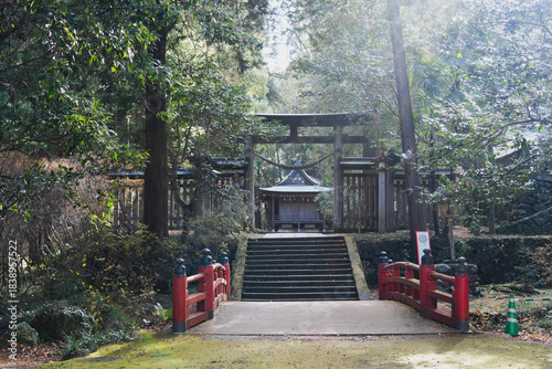 Fototapeta Naklejka Na Ścianę i Meble -  日本：金鑚（かなさな）神社／神秘的な神社の入り口／埼玉県神川町