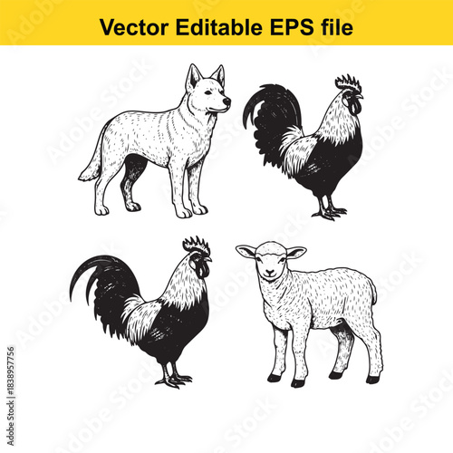  farm animals dog, rooster, sheep, and another rooster in a vintage engraved style