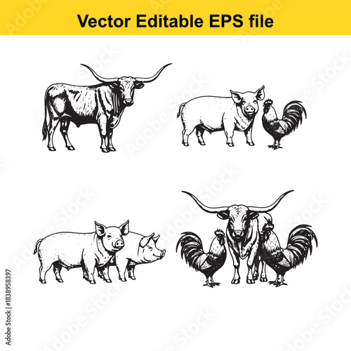  farm animals longhorn bull, pigs, and roosters in a vintage line art style