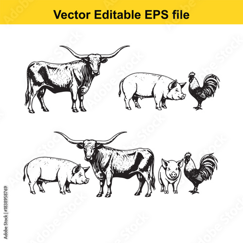  farm animals longhorn cattle, pigs, and roosters in a vintage illustration style