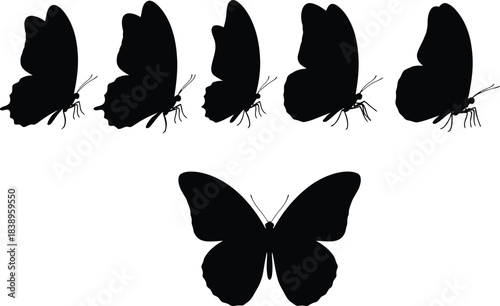Black silhouette butterflies flying pattern isolated on white background