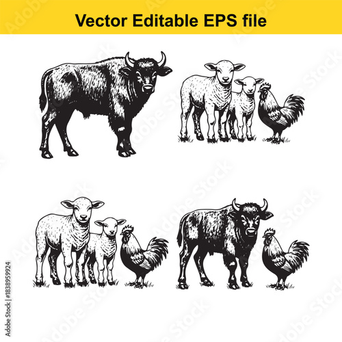  farm animals bulls, sheep, and roosters in a vintage illustration style, vector editable eps file