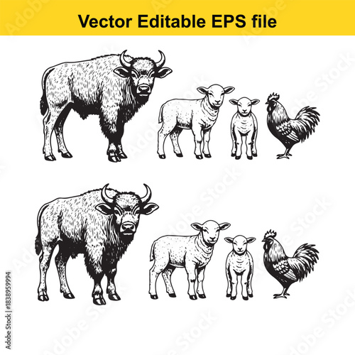  farm animals bison, sheep, and roosters in vintage engraving style, vector editable eps file