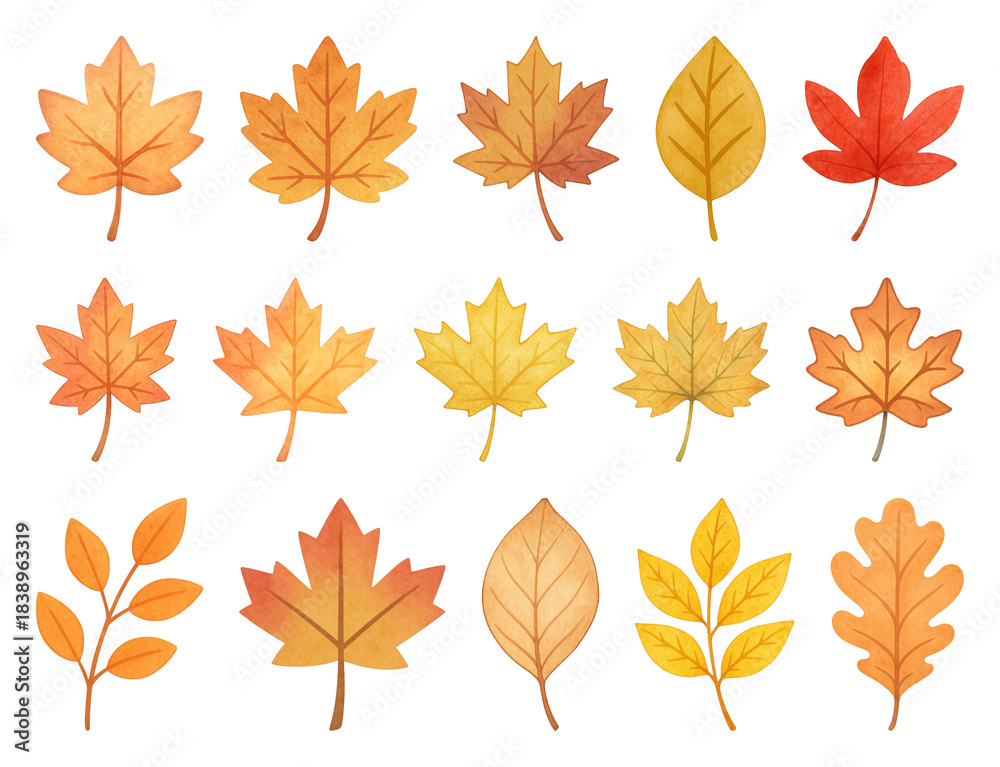 Fototapeta premium PNG Colorful autumn leaves illustration, element set on transparent background