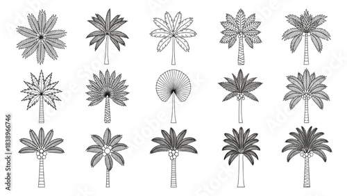 Collection of Diverse Circular Plant and Foliage Designs Stylized Overhead Botanical Vector Graphics Elements Set