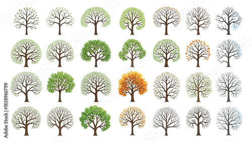 
Seasonal Tree Illustration Bundle Four Season Landscape Architecture Graphics Deciduous Vegetation Vector Set