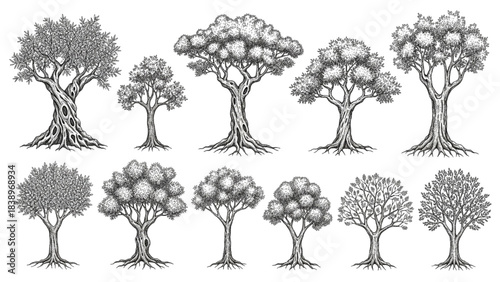 Artistic compilation of various hand-drawn cad tree illustrations highlighting natural growth patterns and detailed botanical forms