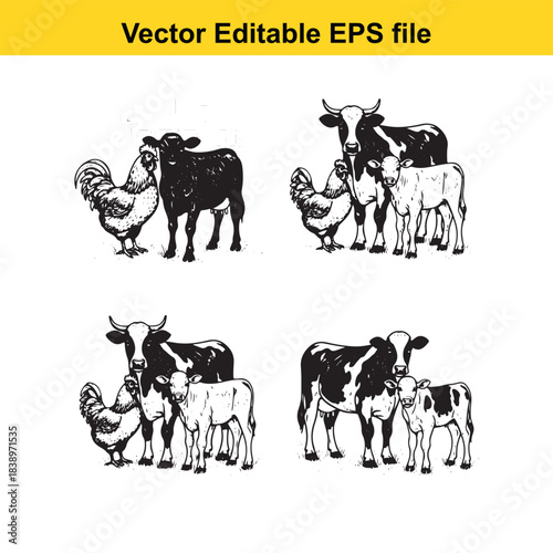  four groups of farm animals including cows, calves, and roosters, vector editable eps file