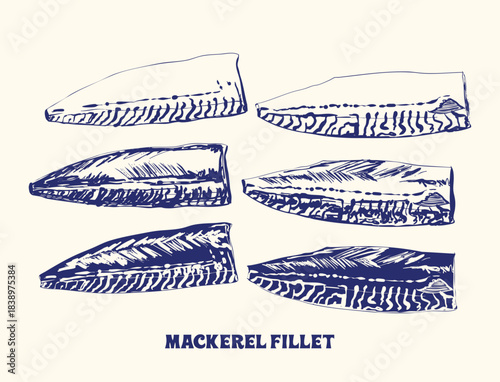 Vintage Mackerel Fillet Illustration Set