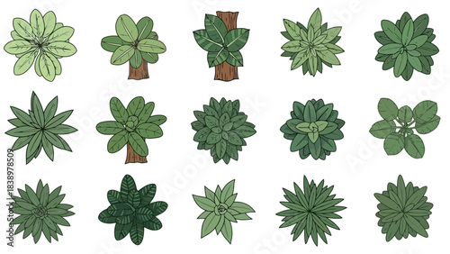 Top View Collection of Assorted Green Plants and Trees for Design Elements