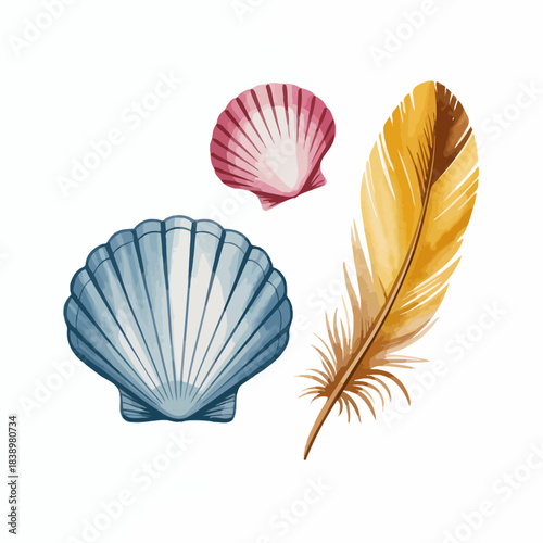 Colorful watercolor seashells and a golden feather depicting a serene natural beach themeseashell, shell, feather, blue, pink, gold, watercolor, illustration, ocean, beach, sea, marine, nature, summer