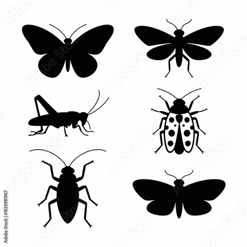 Silhouette Insects: A diverse collection of insect silhouettes elegantly displayed, offering a glimpse into the intricate world of entomology.