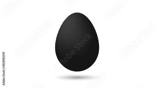A solid black glossy ovoid shape resembling an egg suspended above a white background with a soft shadow
