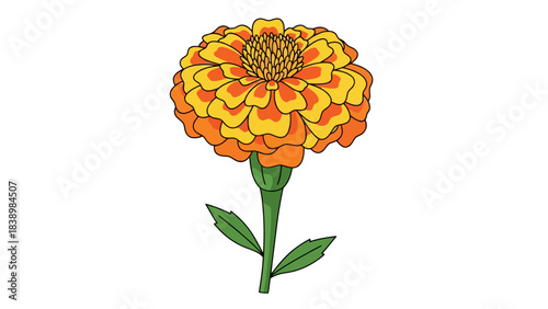Cartoon drawing of a multilayered orange and yellow marigold flower on a stem