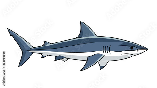 Cartoon illustration of a gray and white shark swimming profile view