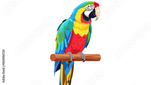 Colorful macaw parrot perched on a wooden branch against a white background
