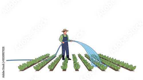 Farmer watering rows of green crops using a blue hose in an outdoor field