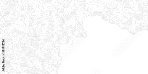 Abstract background with a wave grid map and topography map and seamless pattern with lines White wave paper curved reliefs abstract background, Abstract topographic contours map background.	