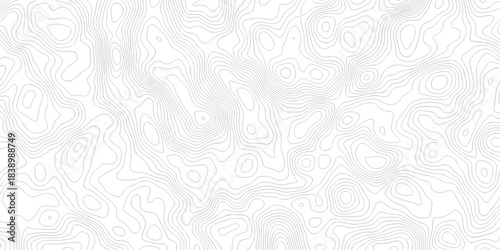 Abstract paper seamless pattern topography map counter map. abstract sea map area space geometrics line area topo discovery landscape grid map texture.	
