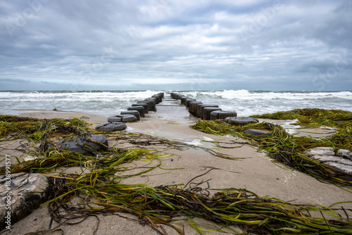 Buhnen am Strand von Ahrenshoop.