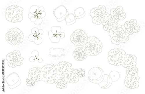 Tree for architectural floor plans. Entourage design. Various trees, bushes, and shrubs, top view for the landscape design plan. Vector illustration.