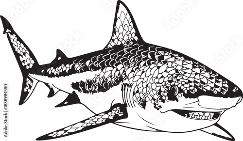 Great white shark isolated on transparent background, detailed hand drawn illustration